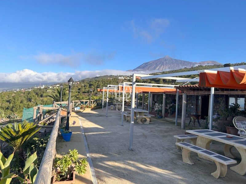Foto c3533069-ca46-438c-8c06-6a0d8a22487a. Lloguer casa a Garachico
