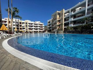Lloguer Pis  Avenida palm-mar. Piso de 2 habitaciones con piscina y garaje en el palmmar