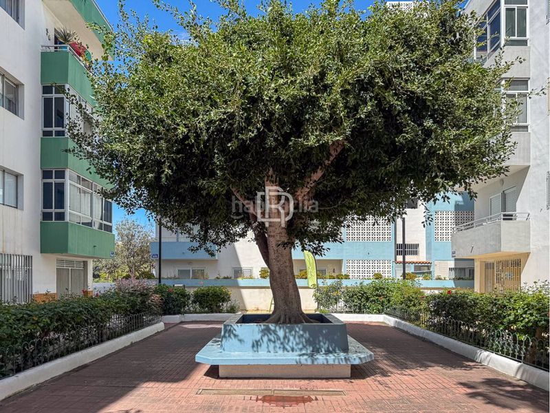 Foto be8a8b7a-381b-4f35-9fca-4634898d637b. Pis a Playa Jardín Puerto de la Cruz