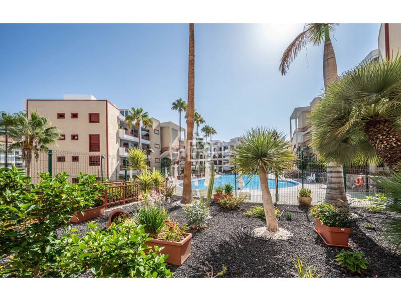 Foto bb99fdd5-173e-446a-b1b0-4d9131ad9fee. Pis amb aparcament piscina a Palm - Mar Arona