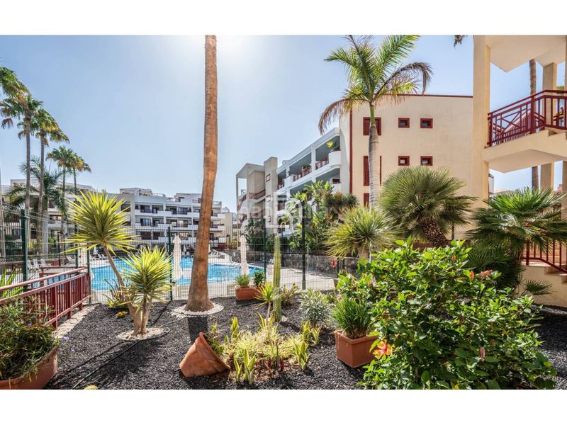 Foto c6e94ffd-7299-4cdc-9805-6f224220715d. Pis amb aparcament piscina a Palm - Mar Arona