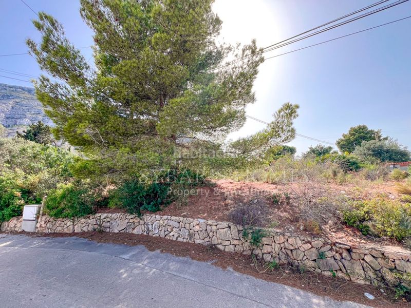 Foto 7f8881aa-35b3-4a49-b328-f8313299242c. Terreny residencial a El Montgó Dénia