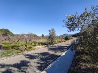 Terrain résidentiel à Carretera venta del zurdo 10. Terreno a la venta en murla