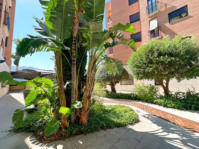 Foto 46023e5c-9249-4133-bd57-4ecb28f49a3a. Àtic amb aparcament piscina a Centro Urbano Dénia