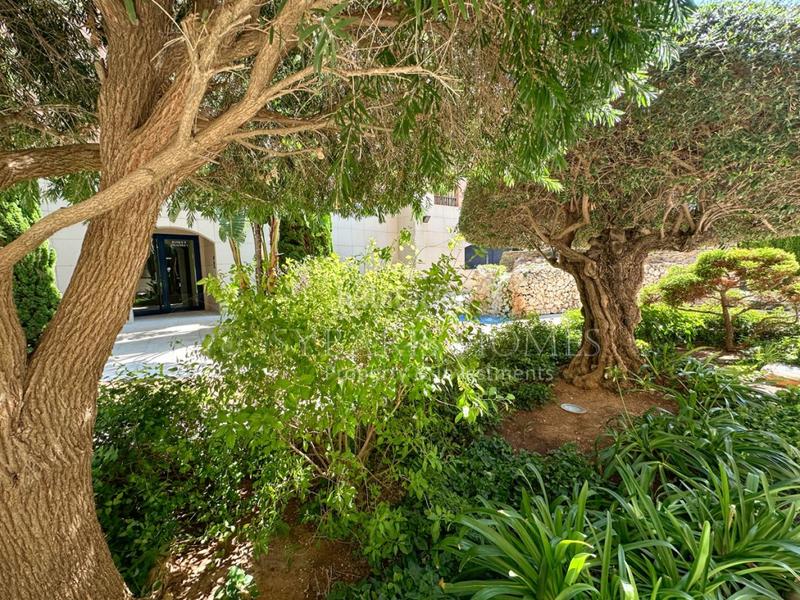 Foto d6a22333-3d09-406c-9eea-85041576d6ca. Àtic amb aparcament piscina a Centro Urbano Dénia