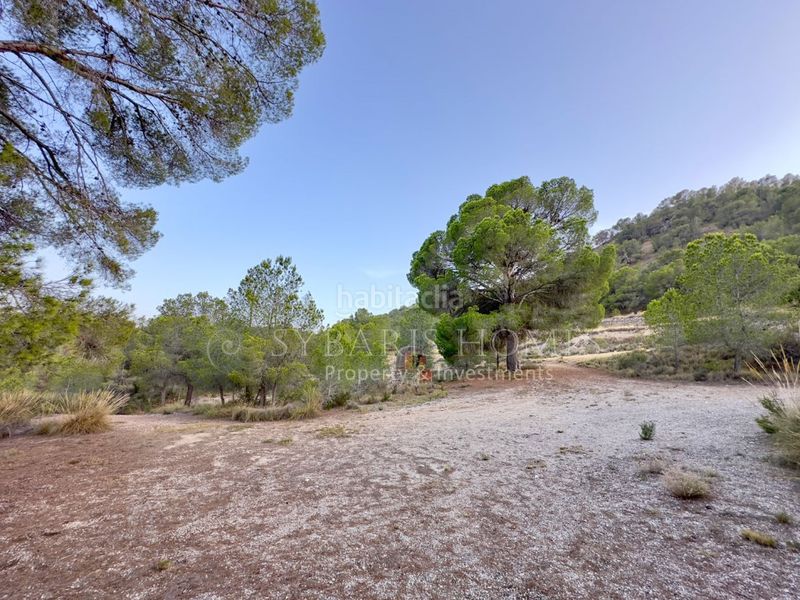 Foto 0ee9164e-bb5c-40b3-a40c-1848d4915b15. Masia amb aparcament a Monòver