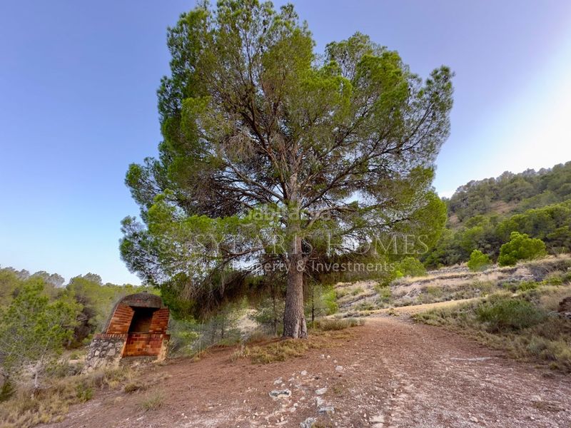 Foto 5c4c54c8-c715-4ebf-92a8-bc27f6f6f4a8. Masia amb aparcament a Monòver