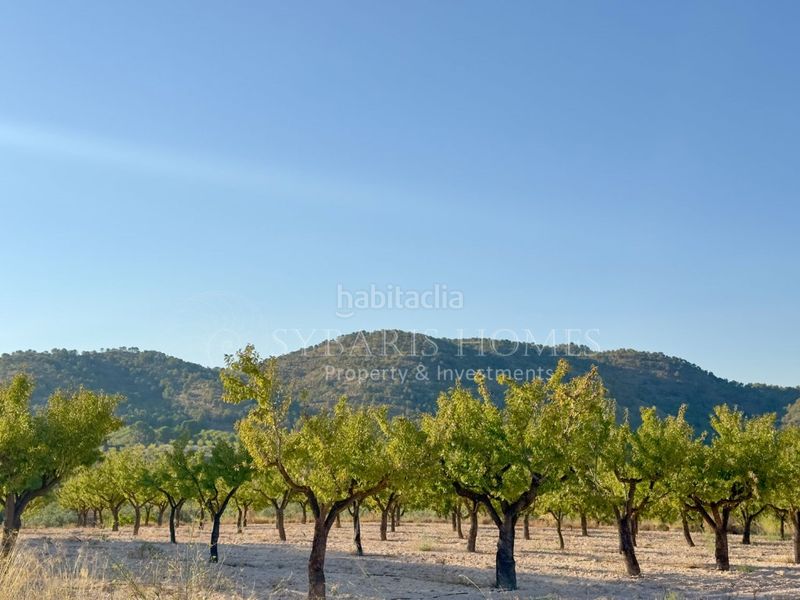 Foto 9f9c104b-4e9c-4820-b8f5-a53615855183. Masia amb aparcament a Monòver