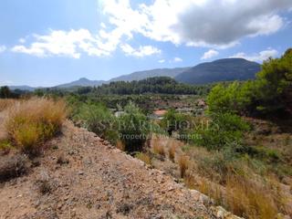 Terreny residencial  N/a. Dos parcelas en murla  oportunidad de inversión 14.755m2