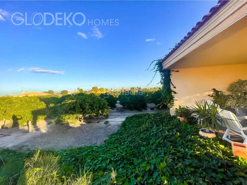 Foto 66279745-64c5-44c7-8ceb-e37049081115. Chalet  exclusivo con finca agrícola y piscina en daya nueva en Alicante