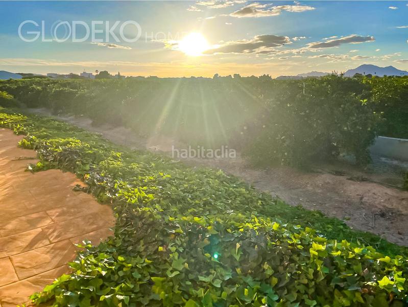 Foto 9d51ac5a-374f-4012-a37e-e484b2200b14. Chalet  exclusivo con finca agrícola y piscina en daya nueva en Alicante