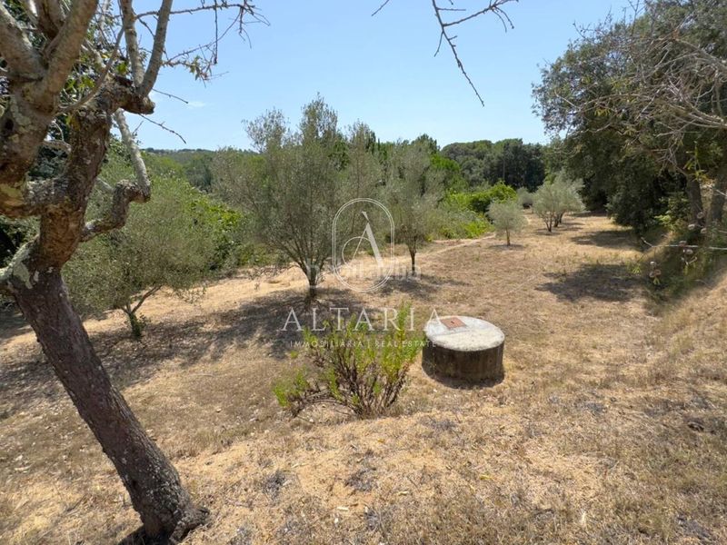 Foto 57bf0ce9-d59a-4ab4-b3d4-6db600d5220d. Casa amb aparcament piscina a Sant Pere Tordera