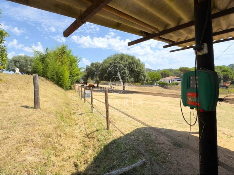 Foto 5e1ba429-adc7-4399-a57e-282a919957a9. Casa amb aparcament piscina a Sant Pere Tordera