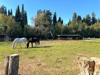 Maison  Ter. Finca de 13.000 m con vivienda e instalaciones ecuestres.