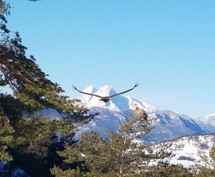 Foto 845fbfe1-4b93-484d-beef-0791d8a3b171. Masia a la rambla 2 a Dreta de l´Eixample Barcelona