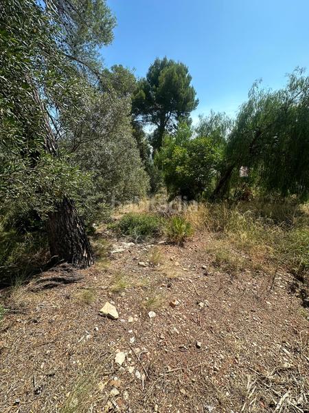 Foto 1e0b306c-fbc0-430b-ac03-f63cb86e62f3. Terrain résidentiel dans gran via de fontpineda 59 dans Pallejà