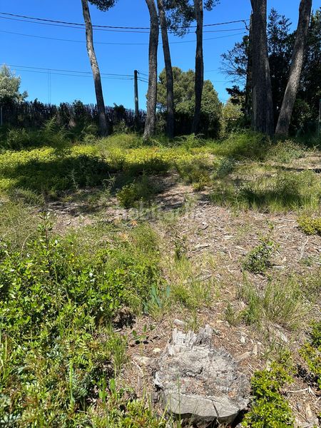 Foto 4ad4c6a1-da83-4961-90c7-1b888726f481. Residential plot in montmany 89 in Pallejà