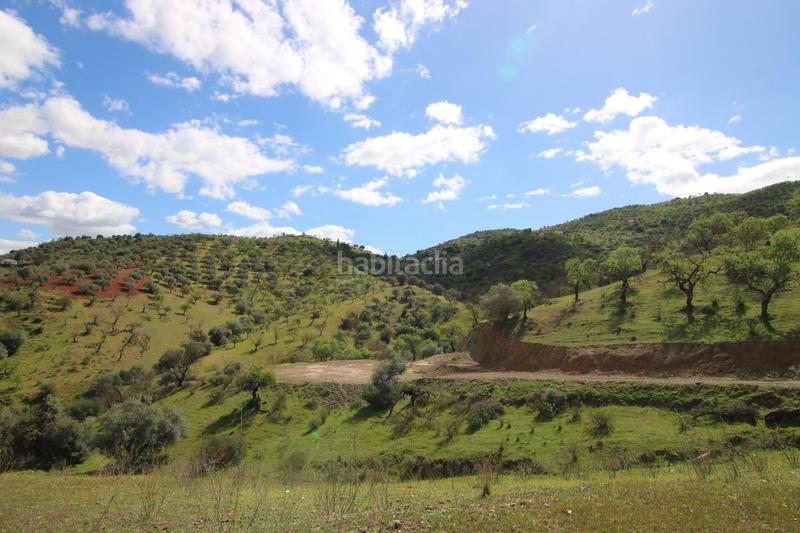 Foto a8978a8d-972a-4fc8-b58c-f6309c089abf. Masía terreno rústico con vivienda en Guaro