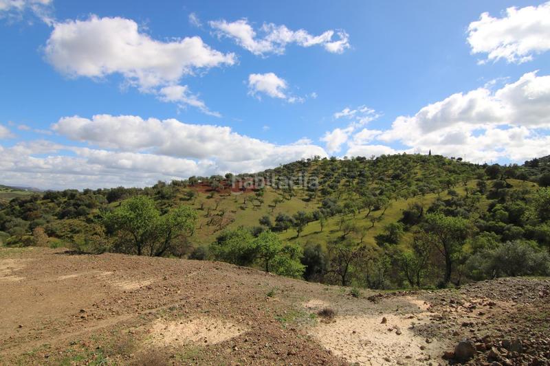 Foto e0446c46-af73-491f-9304-450202f84028. Masía terreno rústico con vivienda en Guaro