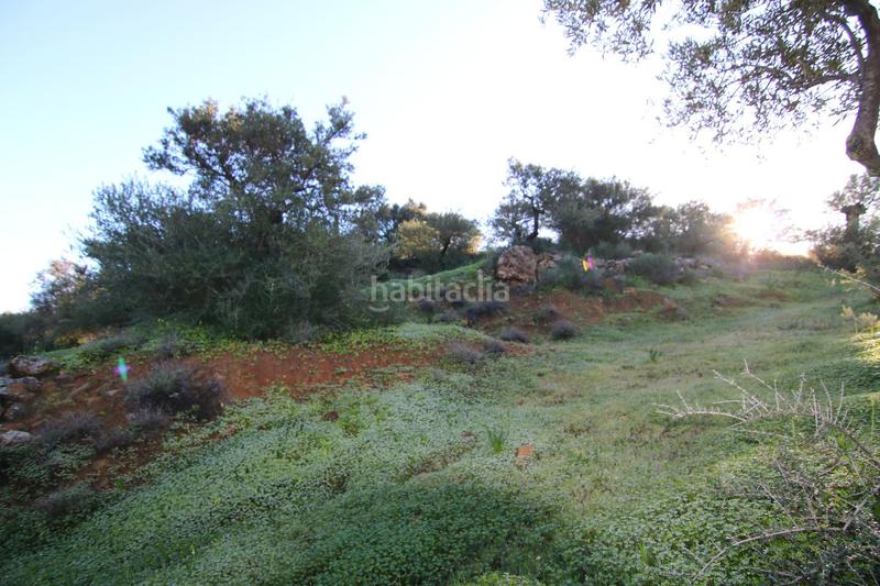 Foto 1c522dd0-9d6d-434b-9f50-1d53d88e2d2c. Terreny residencial a polígono 8 parcela 193 loma del esparragal. Tolox 8 a Tolox