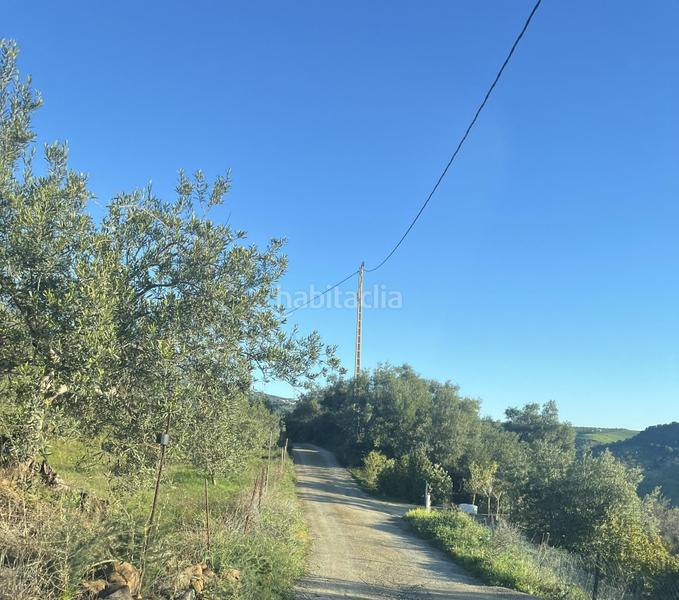 Foto 610cb961-ed1c-4035-b303-8fe0766bfac6. Terreny residencial a polígono 8 parcela 193 loma del esparragal. Tolox 8 a Tolox