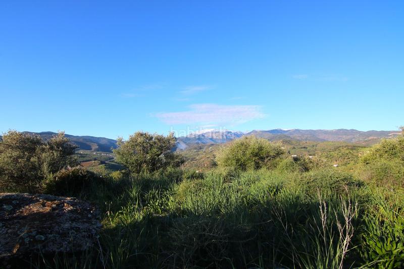 Foto 726c7850-9ab5-45c9-a92b-e3fdb33d5689. Terreny residencial a polígono 8 parcela 193 loma del esparragal. Tolox 8 a Tolox