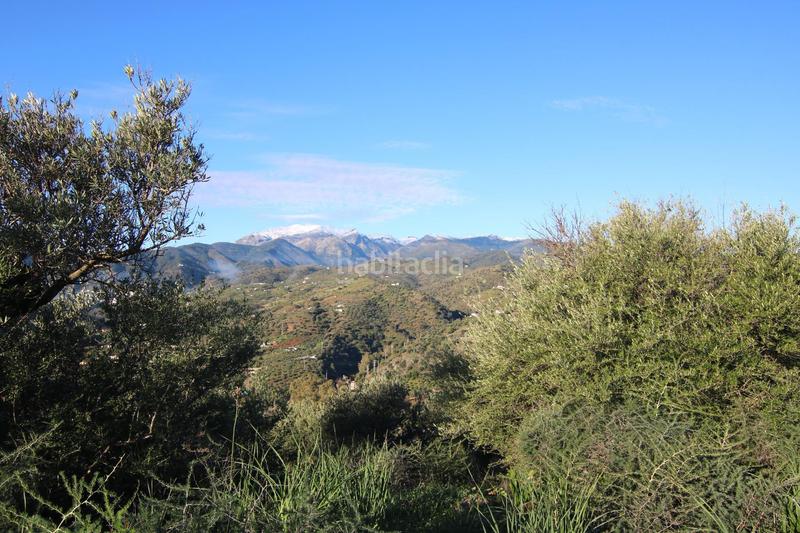 Foto c4b4de9c-a9f2-4e47-8f9c-45900a038a99. Terreny residencial a polígono 8 parcela 193 loma del esparragal. Tolox 8 a Tolox