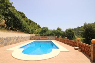 Xalet a Fuente la 46. Finca con vivienda, piscina y producción de aguacates con licenc