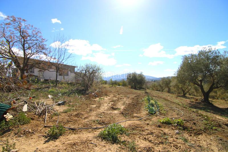 Foto 12647e70-6463-492f-904e-0a2be421946b. Masía parcela rural con casa, almacen y alberca. en Coín