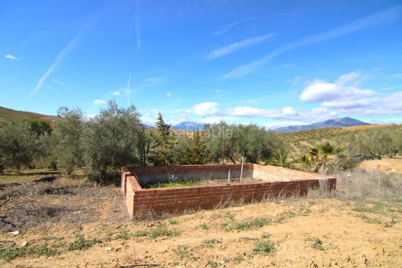 Foto f700a65e-c3ba-4190-ad87-aa33422f3225. Masía parcela rural con casa, almacen y alberca. en Coín