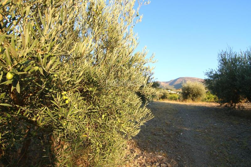 Foto 78f496c3-8af4-47de-a2f2-69051202b772. Casa con parcheggio in Centro Alhaurín el Grande