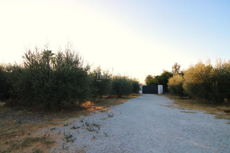 Foto d36cc235-8886-4347-9acc-92d77f2045ef. Casa con parcheggio in Centro Alhaurín el Grande