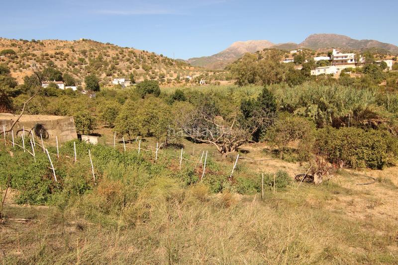 Foto 20a7616e-2a85-4a49-a3d4-3416f11da1a9. Country house in diseminados 81 in Tolox