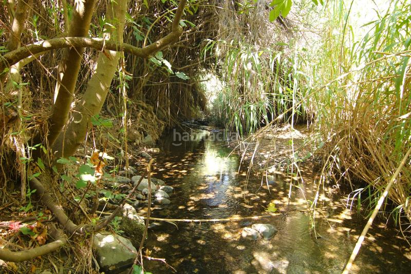 Foto 2455528c-3c5e-49a4-b96a-8bf9ec32bd29. Country house in diseminados 81 in Tolox