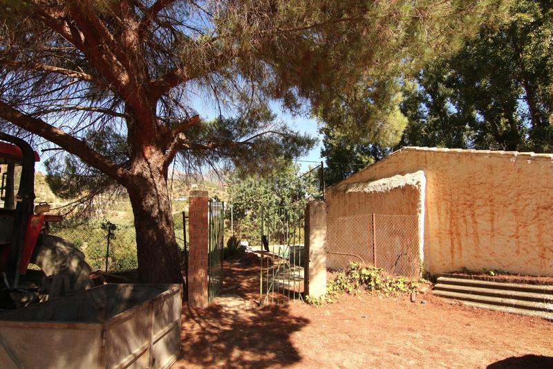 Foto 3dacd991-3b44-4c6a-b6a8-09fbf45a8716. Country house in diseminados 81 in Tolox