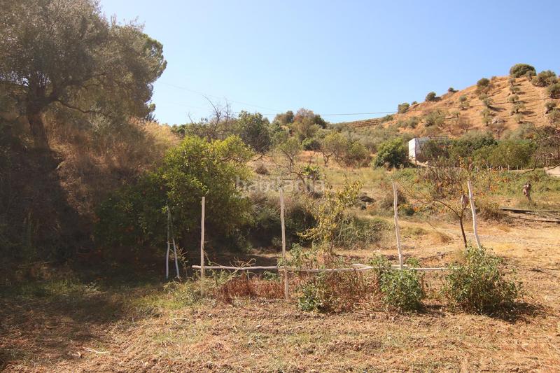 Foto 435ae0c7-11d3-4ef0-ba2d-e1de98ffd670. Country house in diseminados 81 in Tolox