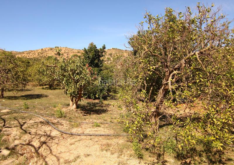 Foto b1b6c755-de51-4b02-9b42-f2c3de9fc4ef. Country house in diseminados 81 in Tolox