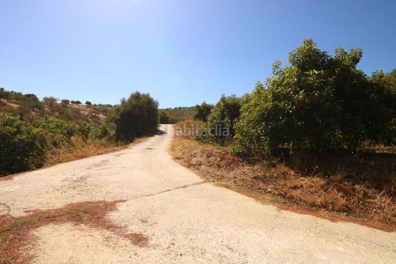 Foto f4b6dbb7-33aa-402e-b2fb-0b6edc2c4ed0. Country house in diseminados 81 in Tolox