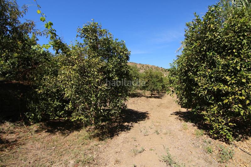 Foto fc0cbd37-fe06-4025-b959-06e033669a51. Country house in diseminados 81 in Tolox