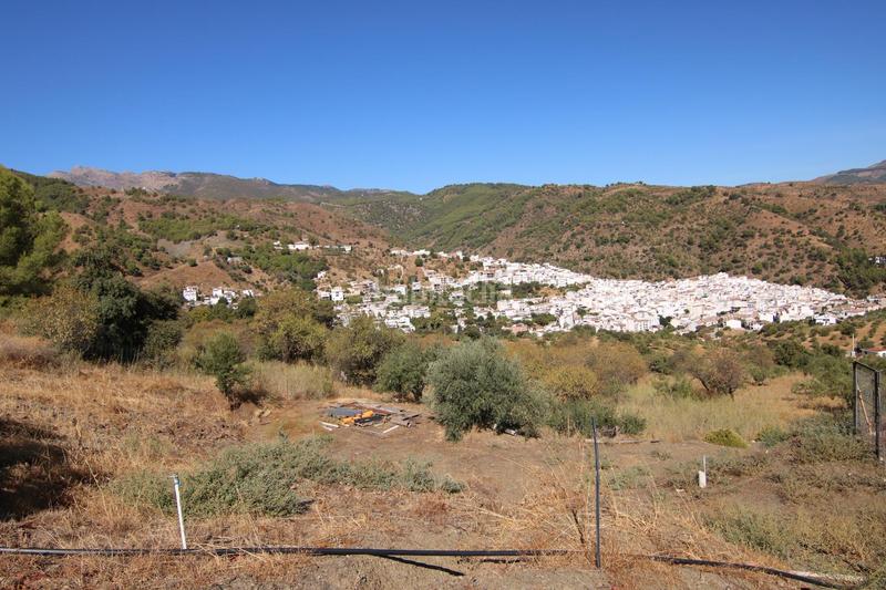 Foto 074fc2a5-863a-47a5-a193-b9c3b2471955. Fondo rustico in Tolox