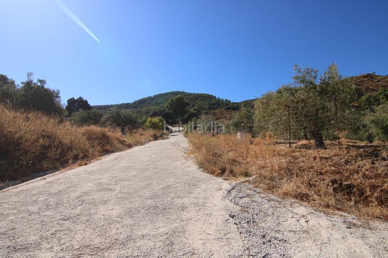 Foto 2ee45329-3ae8-4b48-860d-808b8414024f. Fondo rustico in Tolox