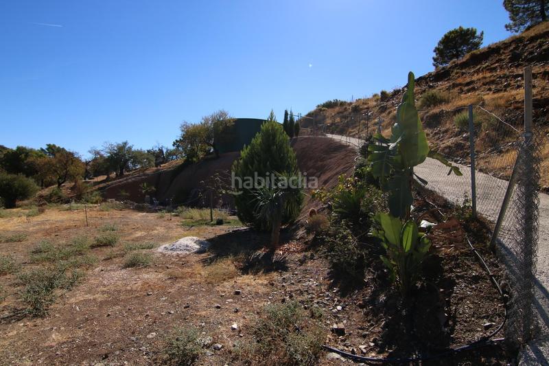 Foto 488903c1-39a6-4bd1-b4cb-8ec8ba94e621. Fondo rustico in Tolox