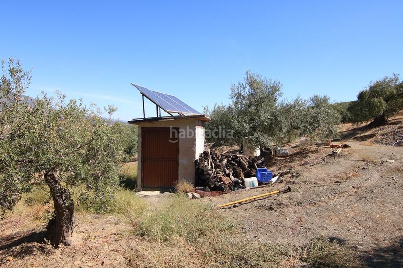 Foto 4f21edfe-a898-4b1f-876e-cdad163df1c5. Fondo rustico in Tolox