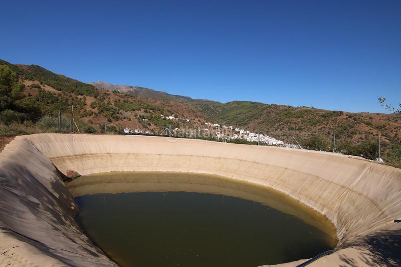 Foto 7921bfe4-d587-4e0e-96fb-fdc0830b3e39. Fondo rustico in Tolox