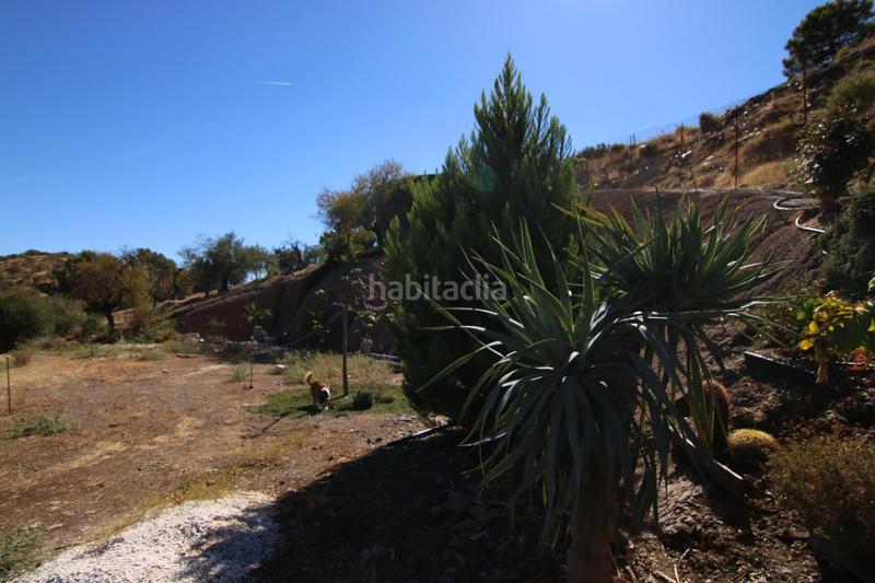 Foto 8aae0af6-d9b7-401b-8438-1d2c30656988. Fondo rustico in Tolox