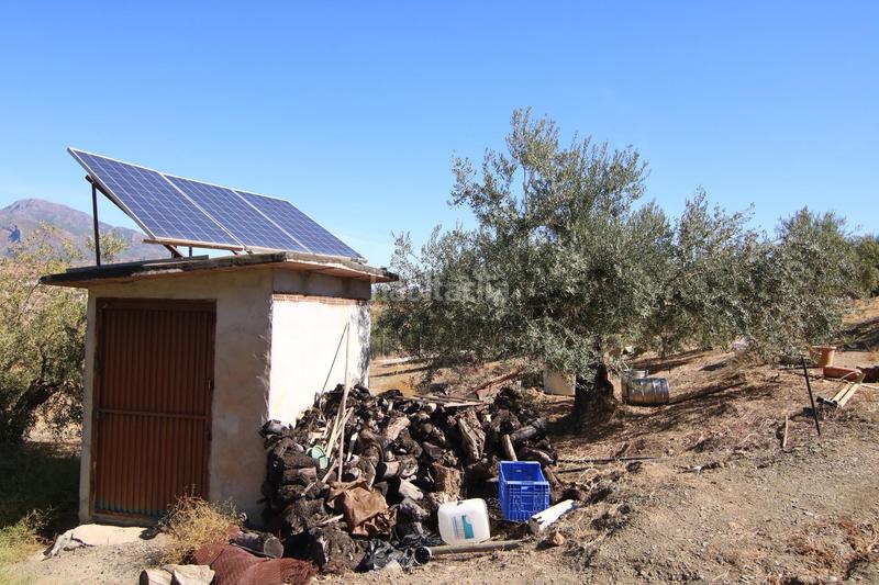 Foto aa17e93f-a447-46ba-acdf-95eccaf3e895. Fondo rustico in Tolox