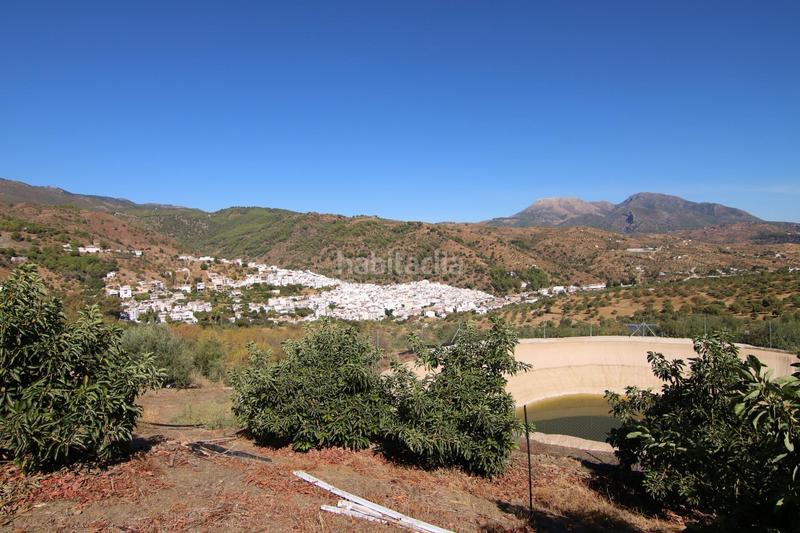 Foto d07cde05-a324-4da7-96ec-1649ef98dd12. Fondo rustico in Tolox