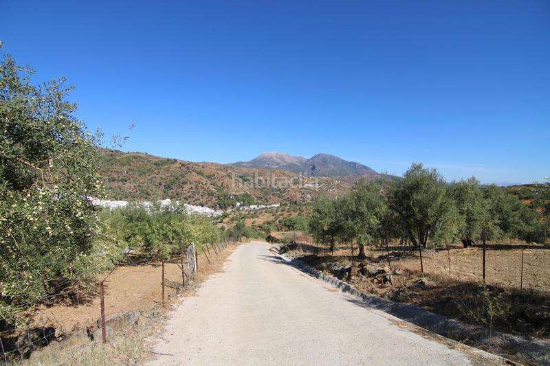 Foto f15e2006-6c68-4ecd-943c-fdc1b18c812b. Fondo rustico in Tolox