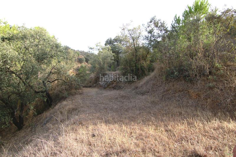 Foto a51ef59e-23cb-4dcc-b1b5-837ce6d11b10. Finca rústica 6062 m2 parcela rustica con luz y agua en Madrid