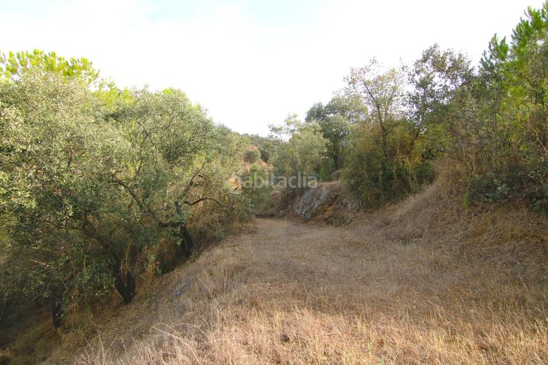 Foto baaf1d9b-46e9-4ded-b457-34da00ad7d63. Finca rústica 6062 m2 parcela rustica con luz y agua en Madrid